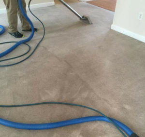 Cleaning Carpet and Water and Smoke Cleanup